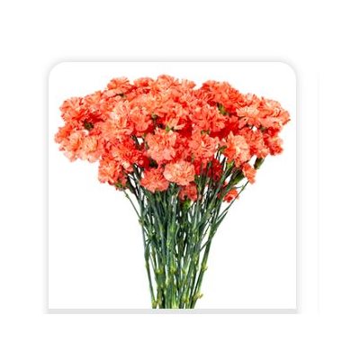 MINI-OEILLET 10t - Orange